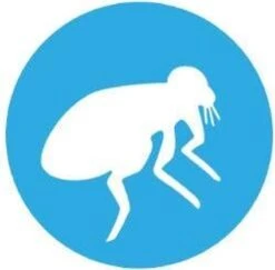 Bayer Bolfo Gold 400 Anti Vlooienmiddel - Hond - >25 Kg - 4 Pipetten 9 Bayer Bolfo Gold 400 Anti Vlooienmiddel - Hond - >25 Kg - 4 Pipetten -Exporteren Alles Voor Honden Winkel 1200x1180 14