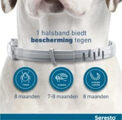 Seresto Vlooien En Tekenband - Kleine Hond - 0 Tot 8 Kg -Exporteren Alles Voor Honden Winkel 1200x1180 17