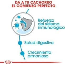 Royal Canin Mini Junior 8 KG -Exporteren Alles Voor Honden Winkel 1200x1180 2