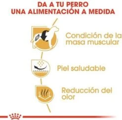 Royal Canin French Bulldog Adult 9 KG 19 Royal Canin French Bulldog Adult 9 KG -Exporteren Alles Voor Honden Winkel 1200x1180 4