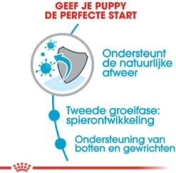 Royal Canin Giant Junior 15 KG 21 Royal Canin Giant Junior 15 KG -Exporteren Alles Voor Honden Winkel 1200x1180 6