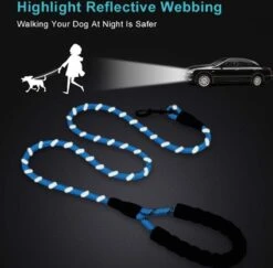 Merkloos Hondenriem - Reflecterende Hondenriem - Rood -Exporteren Alles Voor Honden Winkel 1200x1181 3