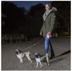 Flexi Led Lighting System Vario - Zwart - S/M/L -Exporteren Alles Voor Honden Winkel 1200x1182 2