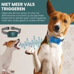 Salvano Anti Blafband - Blafband Voor Honden - Opvoedingshalsbanden - Voor Kleine En Grote Honden - Anti Blafband Zonder Schok- Oplaadbaar - Anti Blaf Apparaat - Blafband - Diervriendelijk -Exporteren Alles Voor Honden Winkel 1200x1183 1