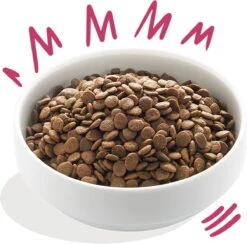 Edgard & Cooper Verse Hert & Scharreleend Adult - Hondenvoer - 12 Kg -Exporteren Alles Voor Honden Winkel 1200x1186 1