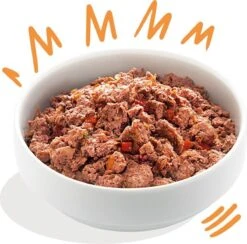 Edgard & Cooper Kip & Kalkoen Blik - Voor Volwassen Honden - Hondenvoer - 12 X 400g 11 Edgard & Cooper Kip & Kalkoen Blik - Voor Volwassen Honden - Hondenvoer - 12 X 400g -Exporteren Alles Voor Honden Winkel 1200x1186 2