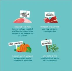 Merkloos Edgard & Cooper Hondenvoer Multipack Kip - Wild - Lam 6 X 100 Gr 13 Merkloos Edgard & Cooper Hondenvoer Multipack Kip - Wild - Lam 6 X 100 Gr -Exporteren Alles Voor Honden Winkel 1200x1187 5