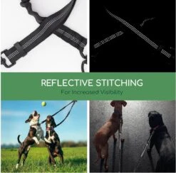 Nobleza Splitter Hondenriem - Dubbel Aanlijnriem Voor Honden - Splitter Verstelbaar - Zwart -Exporteren Alles Voor Honden Winkel 1200x1187 9