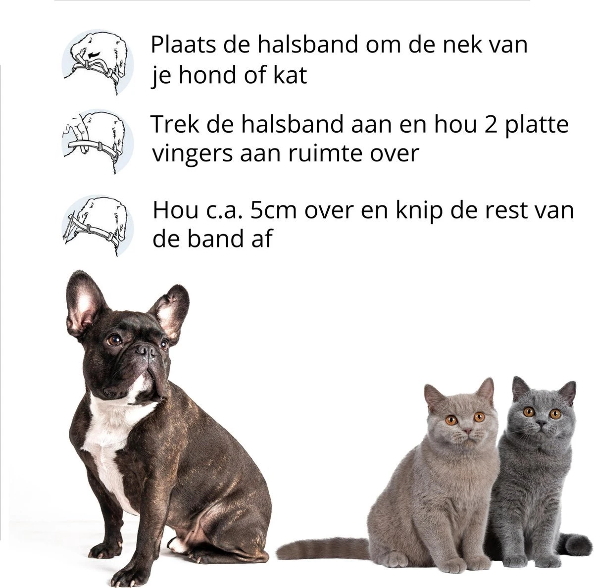 Merkloos Vlooienband Hond - 8 Maanden Bescherming - Vlooienband - Natuurlijk - Tekenband - Anti Vlooien - 63cm - Fit All Sizes - Vlooienbandjes Hond - Vlooien - Teken 5 Merkloos Vlooienband Hond - 8 Maanden Bescherming - Vlooienband - Natuurlijk - Tekenband - Anti Vlooien - 63cm - Fit All Sizes - Vlooienbandjes Hond - Vlooien - Teken - Afbeelding 3