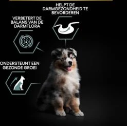 Pro Plan Medium Puppy Sensitive Digestion - Honden Droogvoer - Lam - 4 X 3 Kg 30 Pro Plan Medium Puppy Sensitive Digestion - Honden Droogvoer - Lam - 4 X 3 Kg -Exporteren Alles Voor Honden Winkel 1200x1190 1