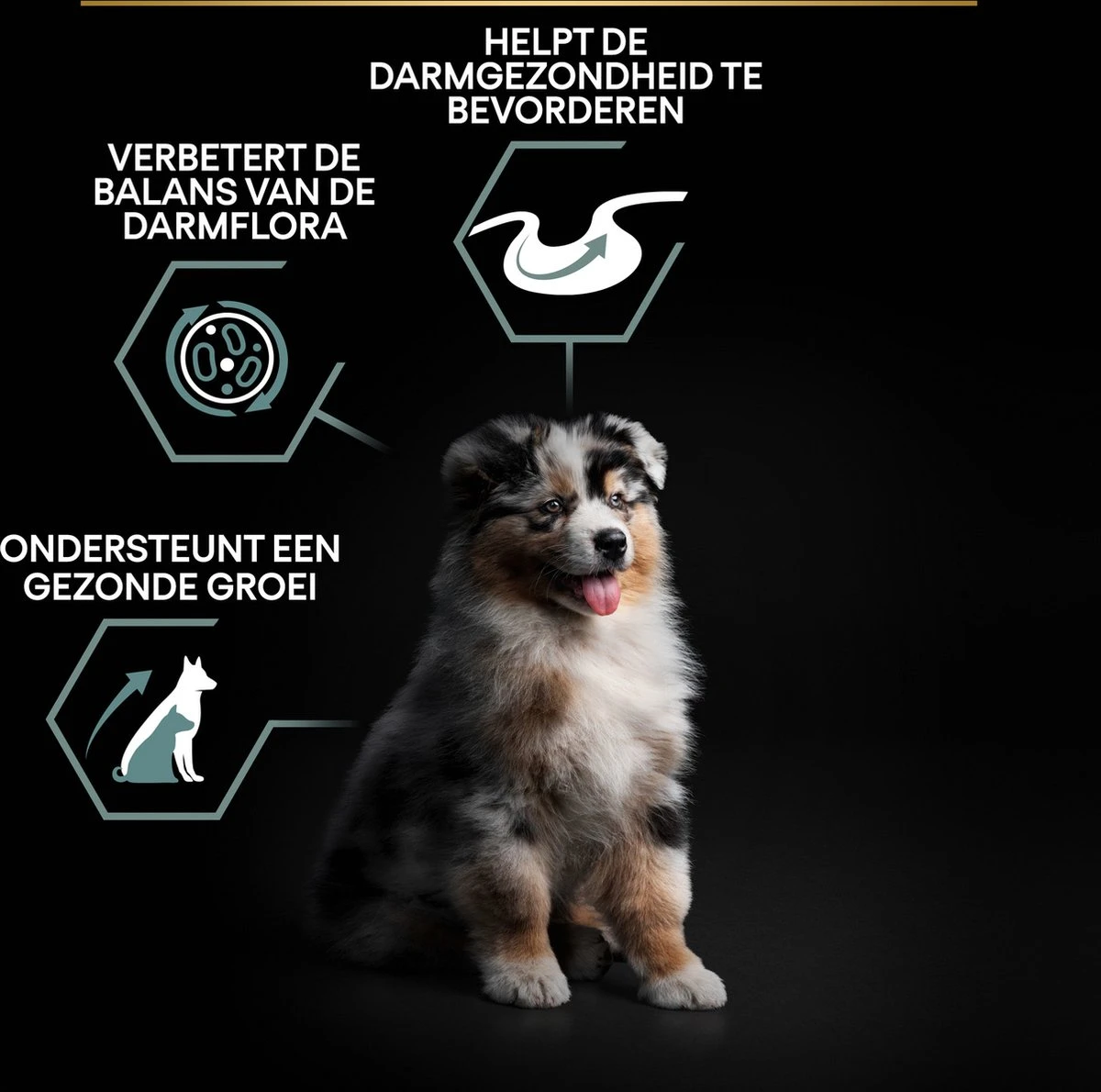 Pro Plan Medium Puppy Sensitive Digestion - Honden Droogvoer - Lam - 4 X 3 Kg 15 Pro Plan Medium Puppy Sensitive Digestion - Honden Droogvoer - Lam - 4 X 3 Kg - Afbeelding 13