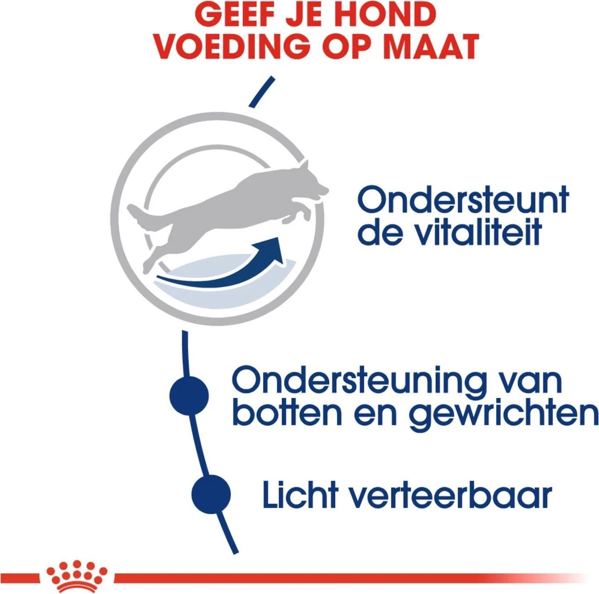 Royal Canin Maxi Adult 5+ Jaar Oud - Hondenvoer - 15 Kg 5 Royal Canin Maxi Adult 5+ Jaar Oud - Hondenvoer - 15 Kg - Afbeelding 3