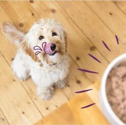 Merkloos Edgard & Cooper Hondenvoer Multipack Kip - Wild - Lam 6 X 100 Gr 12 Merkloos Edgard & Cooper Hondenvoer Multipack Kip - Wild - Lam 6 X 100 Gr -Exporteren Alles Voor Honden Winkel 1200x1190 5