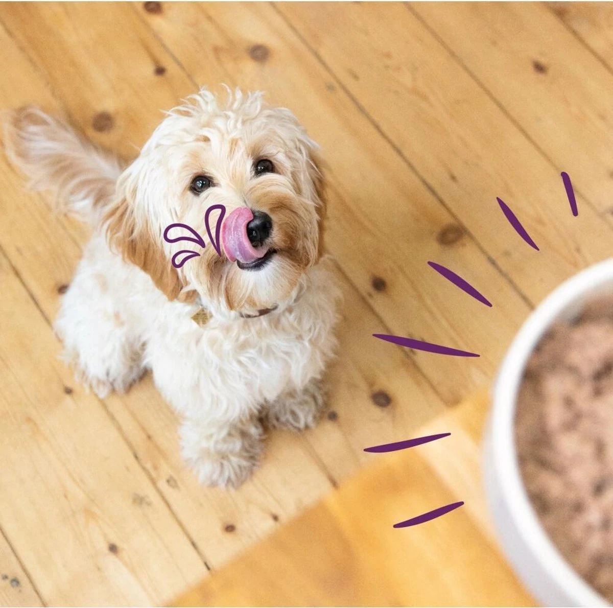 Merkloos Edgard & Cooper Hondenvoer Multipack Kip - Wild - Lam 6 X 100 Gr 6 Merkloos Edgard & Cooper Hondenvoer Multipack Kip - Wild - Lam 6 X 100 Gr - Afbeelding 4