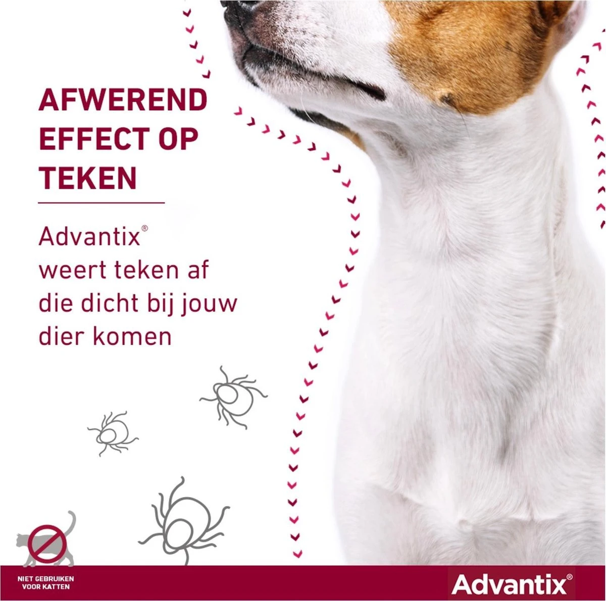 Bayer Advantix Spot On 40 Anti Vlooien En Teken Druppels Hond Tot 4 Kg 4 Pipetten 9 Bayer Advantix Spot On 40 Anti Vlooien En Teken Druppels Hond Tot 4 Kg 4 Pipetten - Afbeelding 7