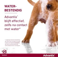 Bayer Advantix Vlooien & Teken Pipetten - Hond Tot 4Kg - 6 Stuks -Exporteren Alles Voor Honden Winkel 1200x1191 14