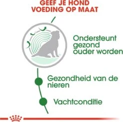 Exporteren Alles Voor Honden Winkel -Exporteren Alles Voor Honden Winkel 1200x1192 4