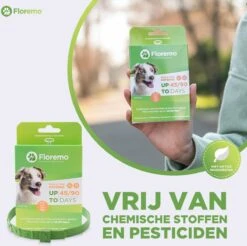 Floremo - Vlooienband En Tekenband Voor Hond - 3 Maanden Bescherming - Anti Tekenmiddel 13 Floremo - Vlooienband En Tekenband Voor Hond - 3 Maanden Bescherming - Anti Tekenmiddel -Exporteren Alles Voor Honden Winkel 1200x1193 12