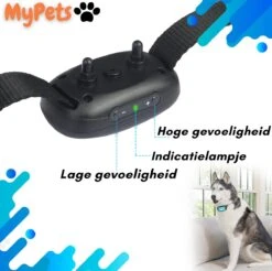 MyPets™ Anti-blafband - Anti Blaf Apparaat - Voor Kleine Honden En Grote Honden - Diervriendelijk - Opvoedingshalsband - Trainingshalsband - 2022/2023 Versie - Inclusief Batterijen -Exporteren Alles Voor Honden Winkel 1200x1193 3