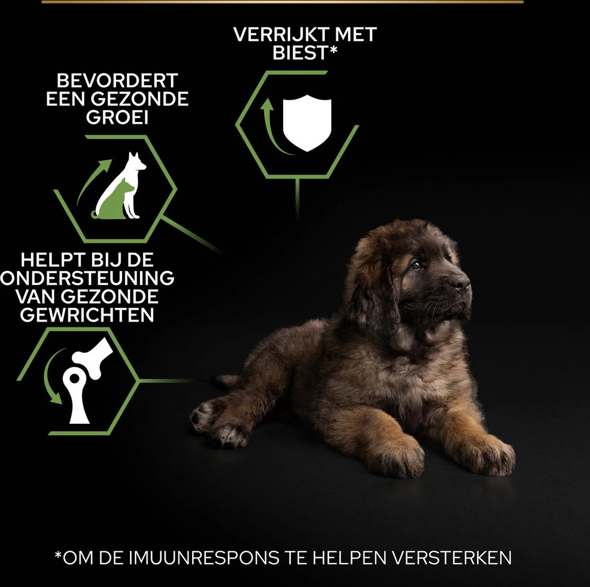 Pro Plan Healthy Start Puppy Large Robust - Honden Droogvoer - Kip - 12 Kg 14 Pro Plan Healthy Start Puppy Large Robust - Honden Droogvoer - Kip - 12 Kg - Afbeelding 12