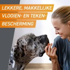 Frontpro Hond L 10-25 Kg 3 Tabletten -Exporteren Alles Voor Honden Winkel 1200x1195 12