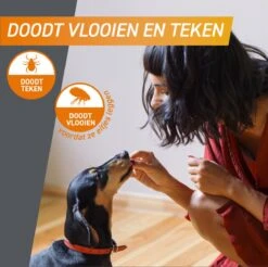 Frontpro Hond L 10-25 Kg 3 Tabletten -Exporteren Alles Voor Honden Winkel 1200x1195 13