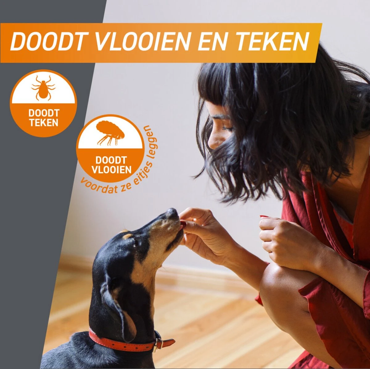 Frontpro Hond S 2-4 Kg 3 Tabletten 7 Frontpro Hond S 2-4 Kg 3 Tabletten - Afbeelding 5