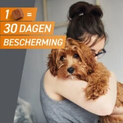 Frontpro Hond M 4-10 Kg 3 Tabletten -Exporteren Alles Voor Honden Winkel 1200x1195 18