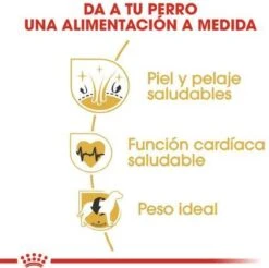 Royal Canin Golden Retriever 12 KG -Exporteren Alles Voor Honden Winkel 1200x1195