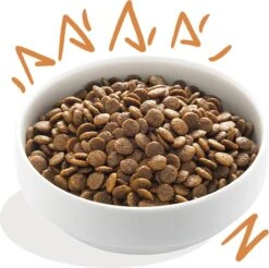 Edgard & Cooper Verse Scharrelkip Adult - Hondenvoer - 7kg 28 Edgard & Cooper Verse Scharrelkip Adult - Hondenvoer - 7kg -Exporteren Alles Voor Honden Winkel 1200x1197