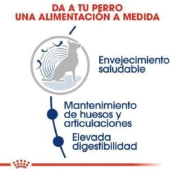 Royal Canin Maxi Ageing 8+ 15 KG -Exporteren Alles Voor Honden Winkel 1200x1197 3