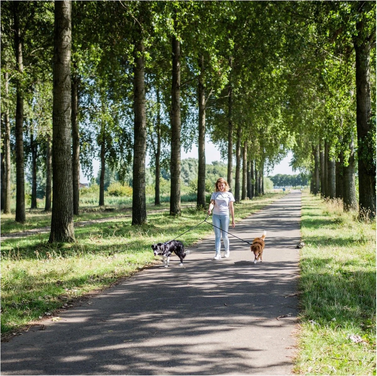 Rebel Petz - Dubbele Verstelbare Hondenriem Voor Twee Honden - Met Draaibare Sluiting En Zacht Handvat - Small En Large - Small (140 Cm Lang, Ø 8 Mm) 19 Rebel Petz - Dubbele Verstelbare Hondenriem Voor Twee Honden - Met Draaibare Sluiting En Zacht Handvat - Small En Large - Small (140 Cm Lang, Ø 8 Mm) - Afbeelding 17