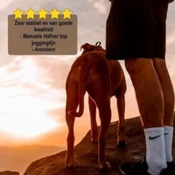 Looplijn Met Heupriem Hands Free - Hondenriem - Reflecterende Hardloopband -Elastische Leiband - Heuptas En Flessenhouder - Zwart - 150 Cm Tot 210 Cm -Exporteren Alles Voor Honden Winkel 1200x1198 16