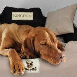 Kingdog - Honden- En Kattenbed 55 X 45 | Zwart - Maat S 12 Kingdog - Honden- En Kattenbed 55 X 45 | Zwart - Maat S -Exporteren Alles Voor Honden Winkel 1200x1198 18