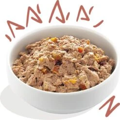 11x Edgard & Cooper Kuipje Vers Vlees Senior Hondenvoer Kip - Zalm 150 Gr 16 11x Edgard & Cooper Kuipje Vers Vlees Senior Hondenvoer Kip - Zalm 150 Gr -Exporteren Alles Voor Honden Winkel 1200x1198 7