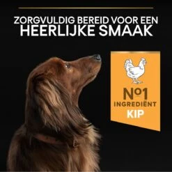 Pro Plan Everyday Nutrition Adult Small & Mini - Honden Droogvoer - Kip - 3 Kg -Exporteren Alles Voor Honden Winkel 1200x1199 13
