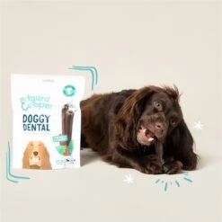 Edgard & Cooper Doggy Dental Sticks Appel - Eucalyptusolie Medium -Exporteren Alles Voor Honden Winkel 1200x1199 15