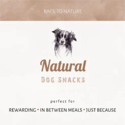 Antos Kippenpoten Gedroogd Kip 1 Kg -Exporteren Alles Voor Honden Winkel 1200x1199 17