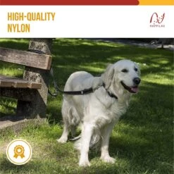 Happilax Dog Leash 2m Adjustable - Black/Reflective - 3-Step Adjustable Leash - Double Leash, Tug Leash - Geschikt Als Hondenriem Voor Grote Honden Of Als Sleepriem Voor Kleine Honden. -Exporteren Alles Voor Honden Winkel 1200x1199 29