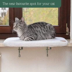 Pfotenolymp® Premium Window Baars/Krabmat Voor Katten Bij Het Raam - Vensterbank/Kattenbank Voor De Vensterbank - Zit/Ligstoel Voor Katten -Exporteren Alles Voor Honden Winkel 1200x1199 39