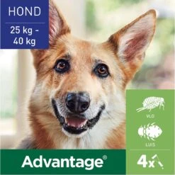 Bayer Anti Vlooienmiddel Advantage 400 25 - 40 Kg - 4 Pipetten 28 Bayer Anti Vlooienmiddel Advantage 400 25 - 40 Kg - 4 Pipetten -Exporteren Alles Voor Honden Winkel 1200x1199 44