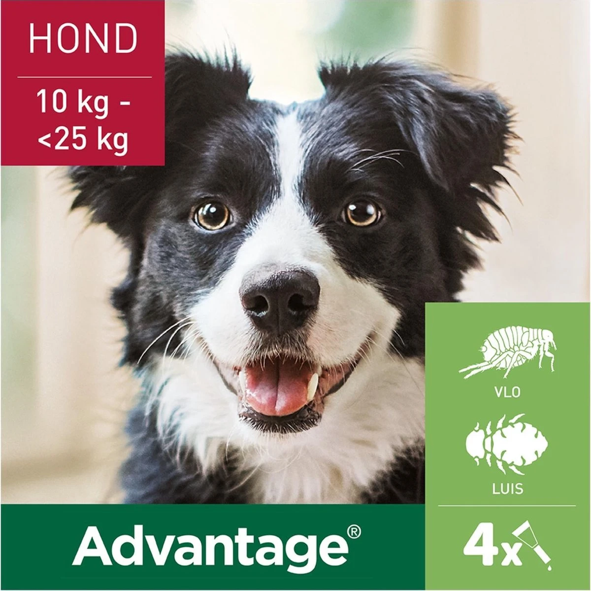 Bayer Advantage 250 Vlooiendruppels Hond 10-25 Kg - 4 Pipetten 5 Bayer Advantage 250 Vlooiendruppels Hond 10-25 Kg - 4 Pipetten - Afbeelding 3