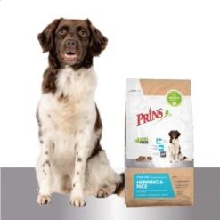 Prins ProCare Herring & Rice 12 Kg - Hond 10 Prins ProCare Herring & Rice 12 Kg - Hond -Exporteren Alles Voor Honden Winkel 1200x1199 7