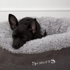 Scruffs Cosy Kattenmand - Comfortabel En Voordelig Met Zachte Binnenvoering En Imitatie Suède Buitenvoering - 3 Kleuren - Ø 45 Cm - Karamel -Exporteren Alles Voor Honden Winkel 1200x1200 1007