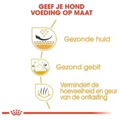 Royal Canin Shih Tzu Adult 7.5 KG 17 Royal Canin Shih Tzu Adult 7.5 KG -Exporteren Alles Voor Honden Winkel 1200x1200 104