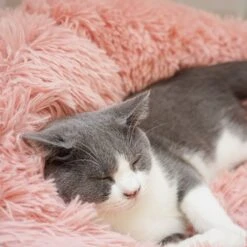 Topmast Fluffy Donut - Dierenmand - Donut Hondenmand - Roze - 50 Cm 15 Topmast Fluffy Donut - Dierenmand - Donut Hondenmand - Roze - 50 Cm -Exporteren Alles Voor Honden Winkel 1200x1200 1063