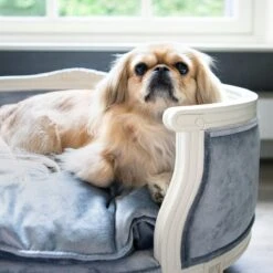 Lord Lou - George Blauw Velvet S - Luxe Hondenmand - Luxe Kattenmand - 49x40x31 -Exporteren Alles Voor Honden Winkel 1200x1200 1065