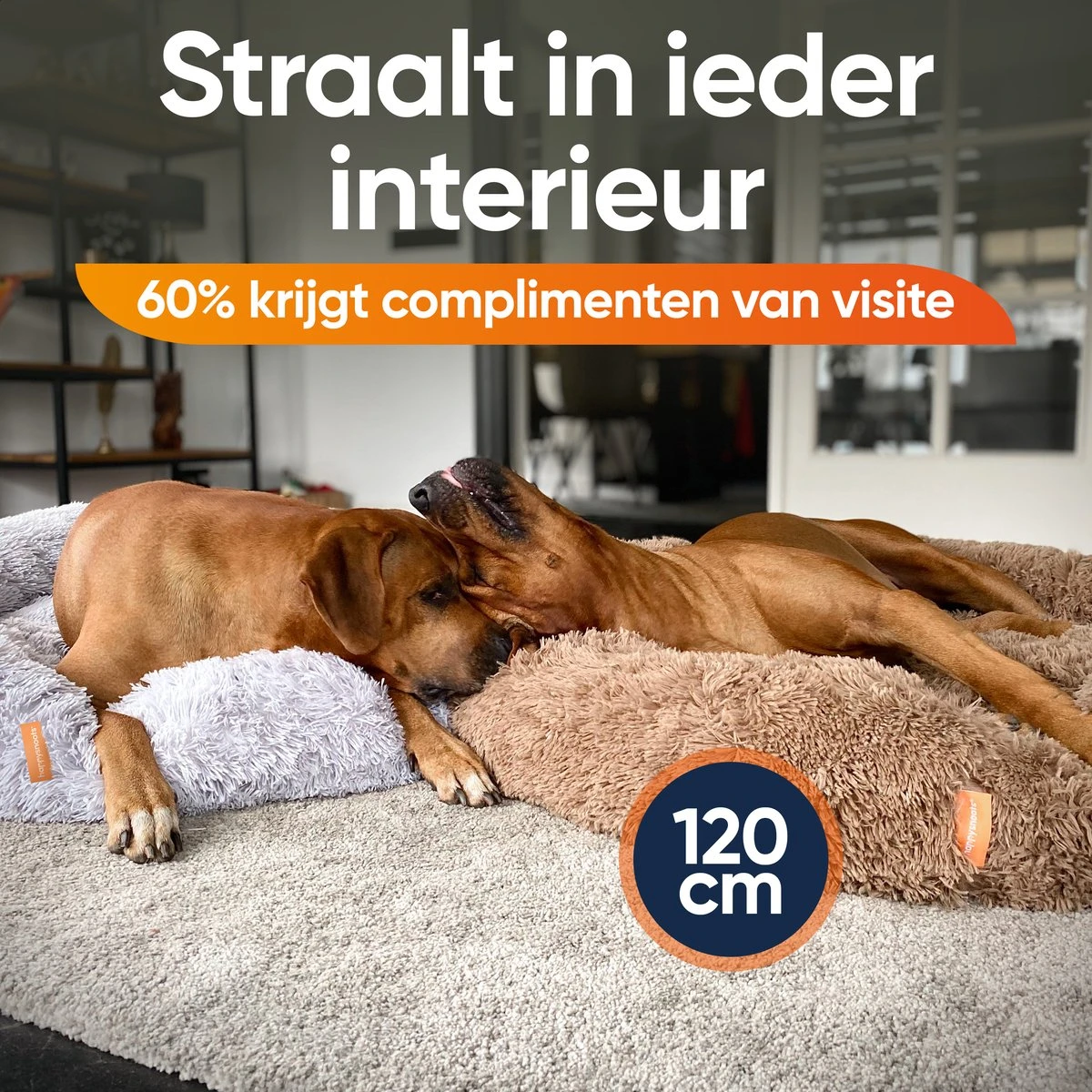 Happysnoots Hondenmand Met Rits - 80cm - Hondenbed - Donut Dog Bed - Fluffy - Grijs - Wasbaar 6 Happysnoots Hondenmand Met Rits - 80cm - Hondenbed - Donut Dog Bed - Fluffy - Grijs - Wasbaar - Afbeelding 4