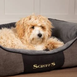 Hondenmand Zacht En Stevig, Anti-Slip En Wasbaar - Scruffs Chester Box Bed - In Grijs En Bruin In Maat S Tot XL - Kleur: Grijs, Maat: Medium -Exporteren Alles Voor Honden Winkel 1200x1200 1080