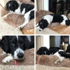 Snoozle Donut Hondenmand - Zacht En Luxe Hondenkussen - Wasbaar - Fluffy - Hondenmanden - 70cm - Creme Bruin -Exporteren Alles Voor Honden Winkel 1200x1200 1117